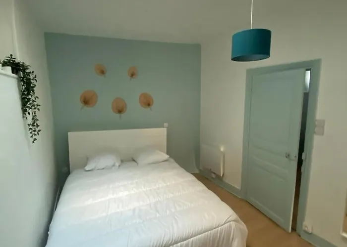 Апартаменты New T2 Salins Клермон-Ферран